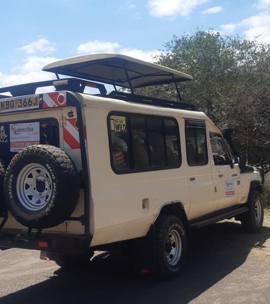 Nairobi park tours landcruiser 27