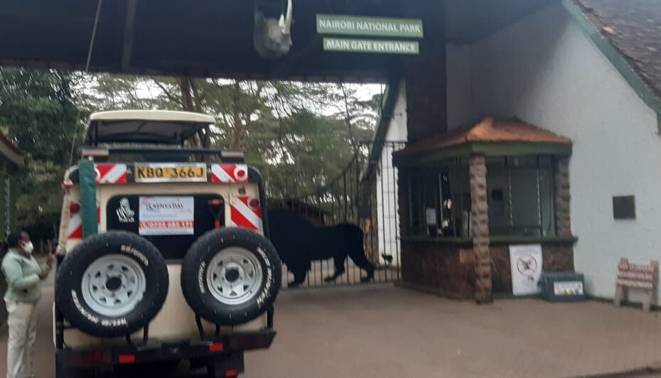 Nairobi park tours landcruiser 29